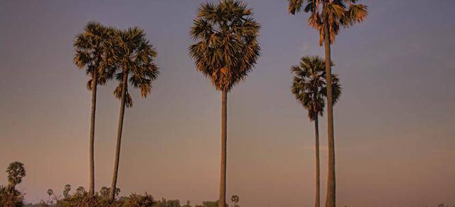 Sambuor, Mongkol Borey, Banteay Meanchey