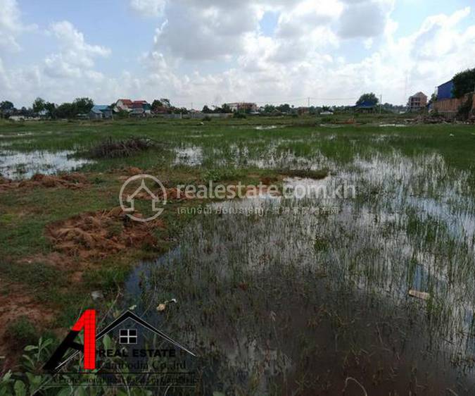   , Svay Dankum, Siem Reap, Siem Reap