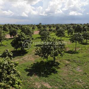 National road 57B 57B, Ta Krei, Kamrieng, Battambang