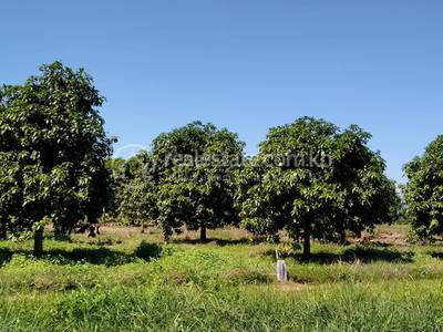 National road 57B 57B, Ta Krei, Kamrieng, Battambang