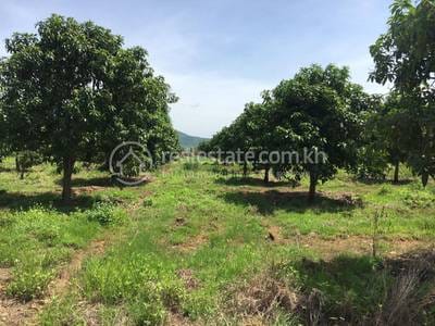Kamrieng Pozemky Na prodej in Ta Krei Kamrieng $851,666