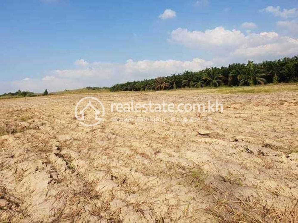Lot For Sale in Kaev Phos, Stueng Hav, Sihanoukville