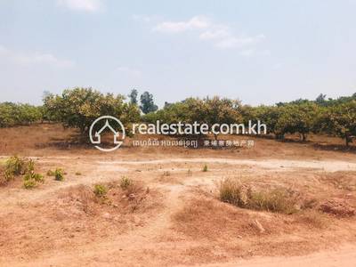 residential Land/Development for sale in Khun Ream ID 139835