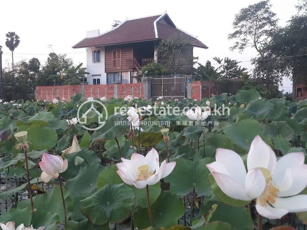 House and lot Na sprzedaż o powierzchni mieszkalnej 273 m² w Siem Reap