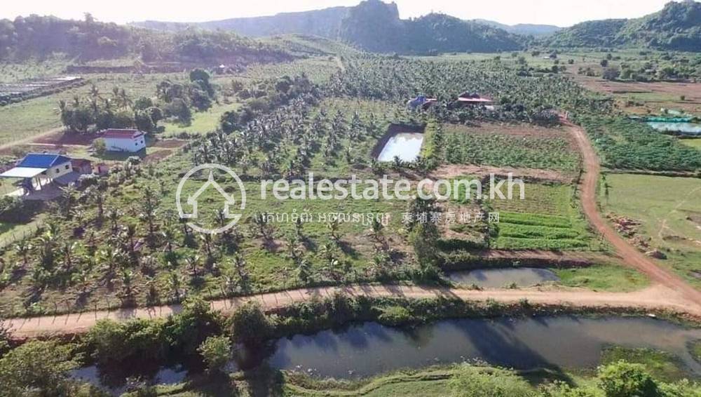 ที่ดิน สำหรับขาย ใน ตึกชู, กัมปอต