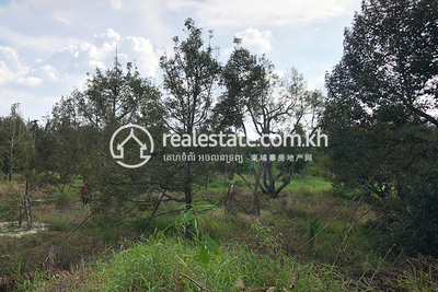 មាក់ប្រាង, ទឹកឈូ, កំពត