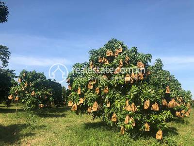 Haong Samnam, Aoral, Kampong Speu