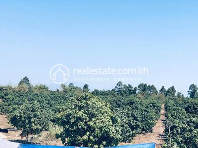 Haong Samnam, Aoral, Kampong Speu