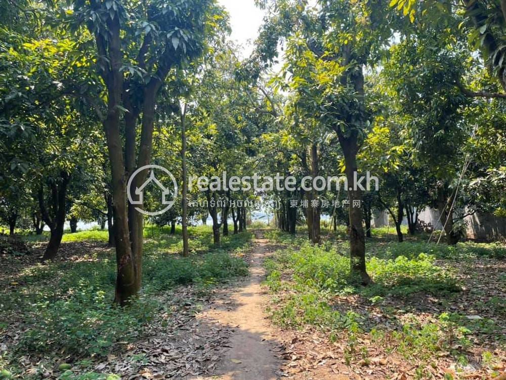 12,400 sqm Living Size Lot For Sale in Lvea Aem