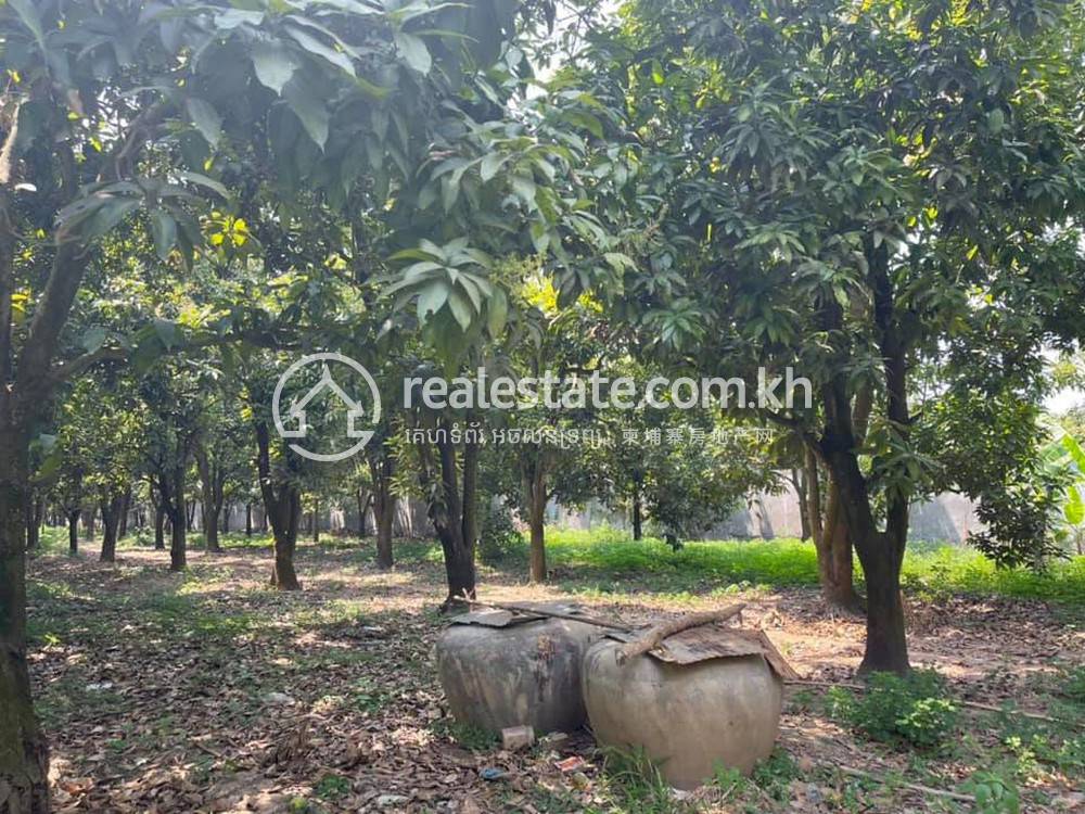 Lot For Sale in Thma Kor, Lvea Aem, Kandal