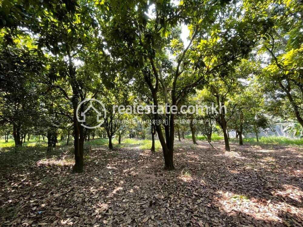 Lot For Sale in Lvea Aem $2,250,000