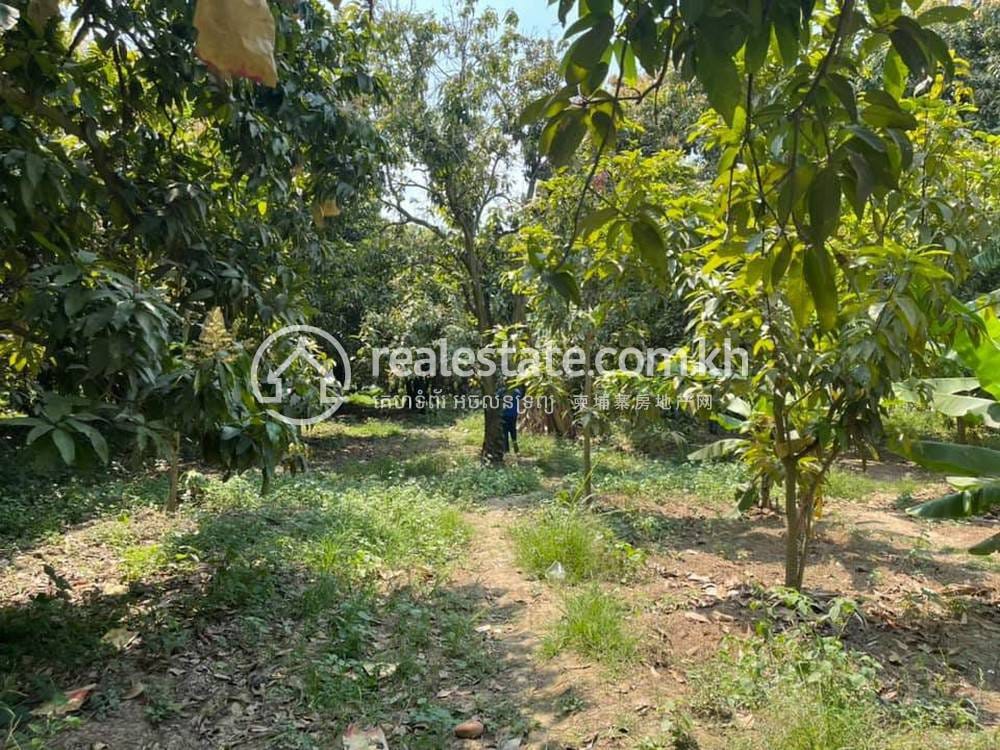 Thma Kor Lot For Sale in Thma Kor