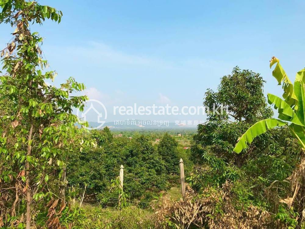 Lot For Sale in Tuek Chhou $85,000