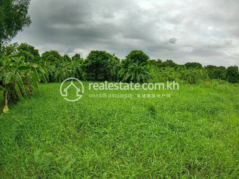 27,904 sqm Living Size Lot For Sale in Kien Svay