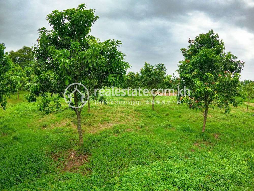Lot For Sale in Kien Svay, Kandal