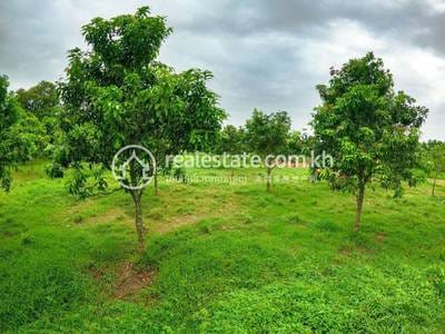 Lot For Sale in Kien Svay, Kandal