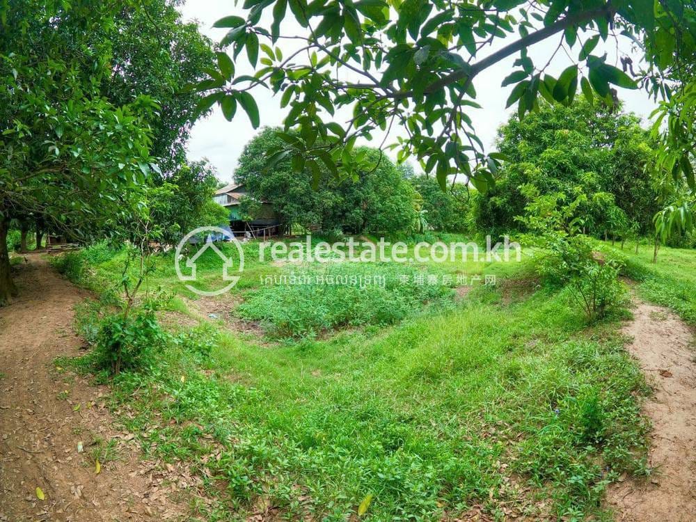 Lot For Sale in Kien Svay POA