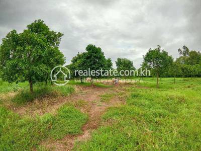 Kien Svay Lot For Sale in Kien Svay