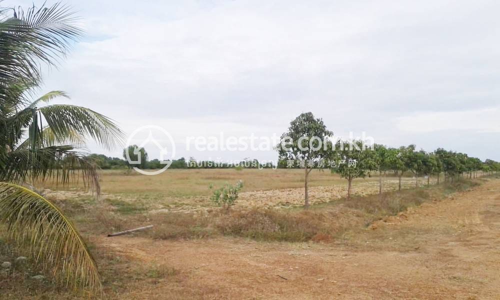 Pozemky Na prodej in Kampong Tralach, Kampong Tralach, Kampong Chhnang