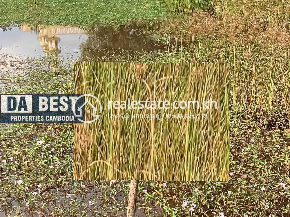 Lot สำหรับขาย ใน Kampot $70,000