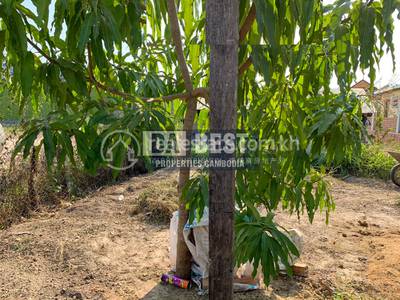 Properties Dabest, Kampong Kandal, Kampot, Kampot