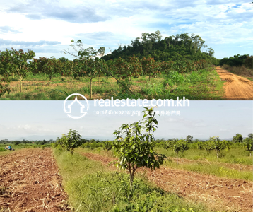 Road 57B 57B, Ta Krei, Kamrieng, Battambang