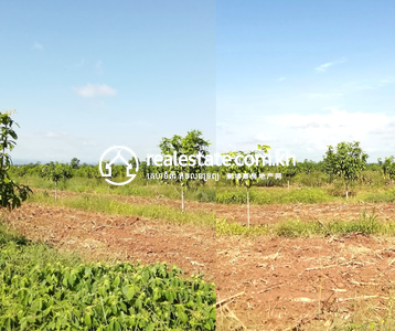 Road 57B 57B, Ta Krei, Kamrieng, Battambang