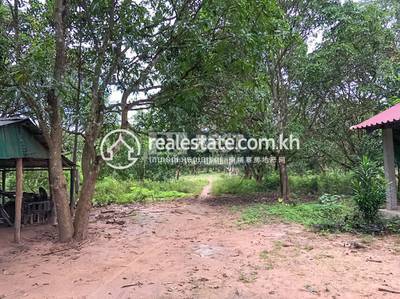 Siem Reap DABEST DABEST Properties, ត្បែង, បន្ទាយស្រី, សៀមរាប