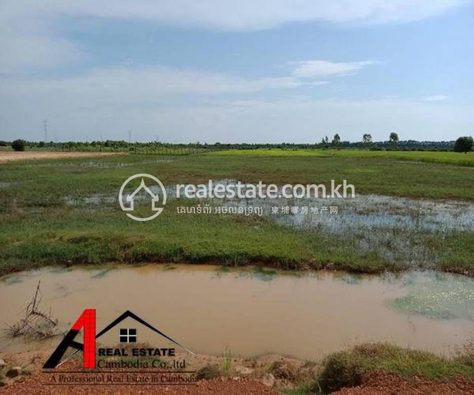 Chreav Lot For Rent in Chreav