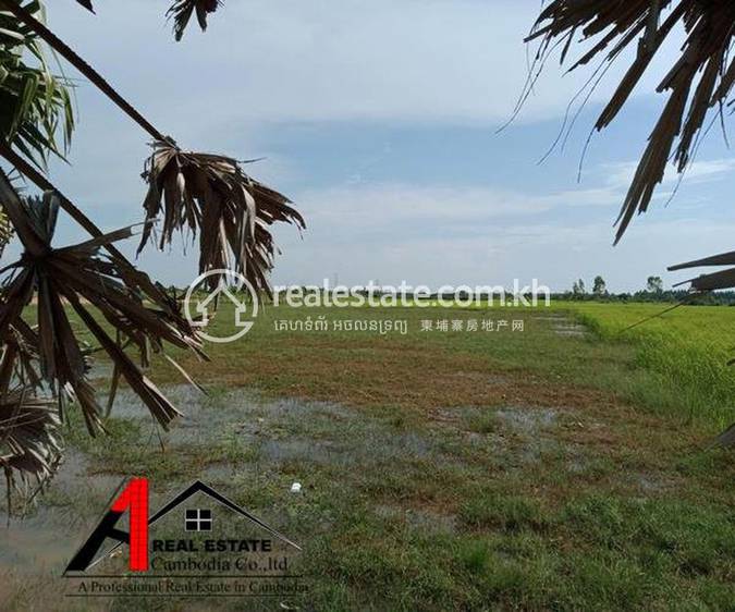 Siem Reap Lot For Rent in Siem Reap