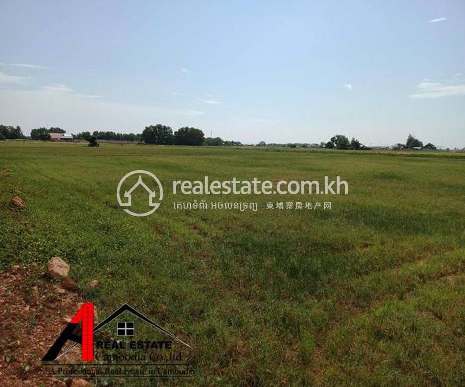 Chreav Lot For Rent in Chreav