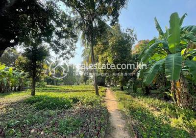 ព្រែកឯង, ច្បារអំពៅ, ភ្នំពេញ