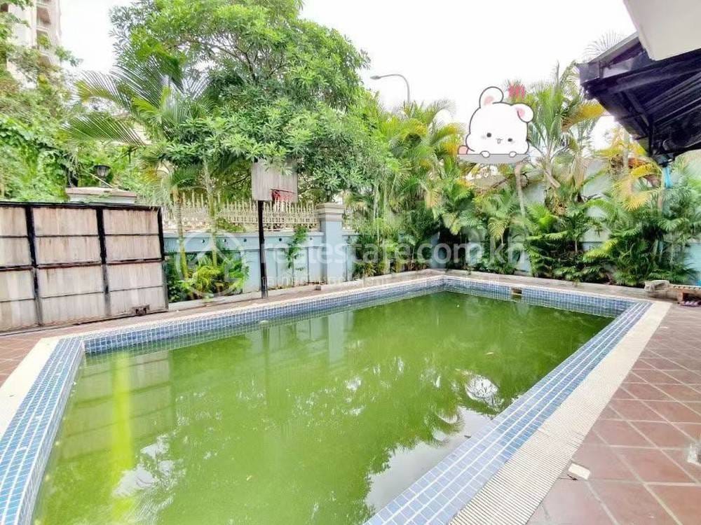 Daun Penh别墅出租，价格$4,000