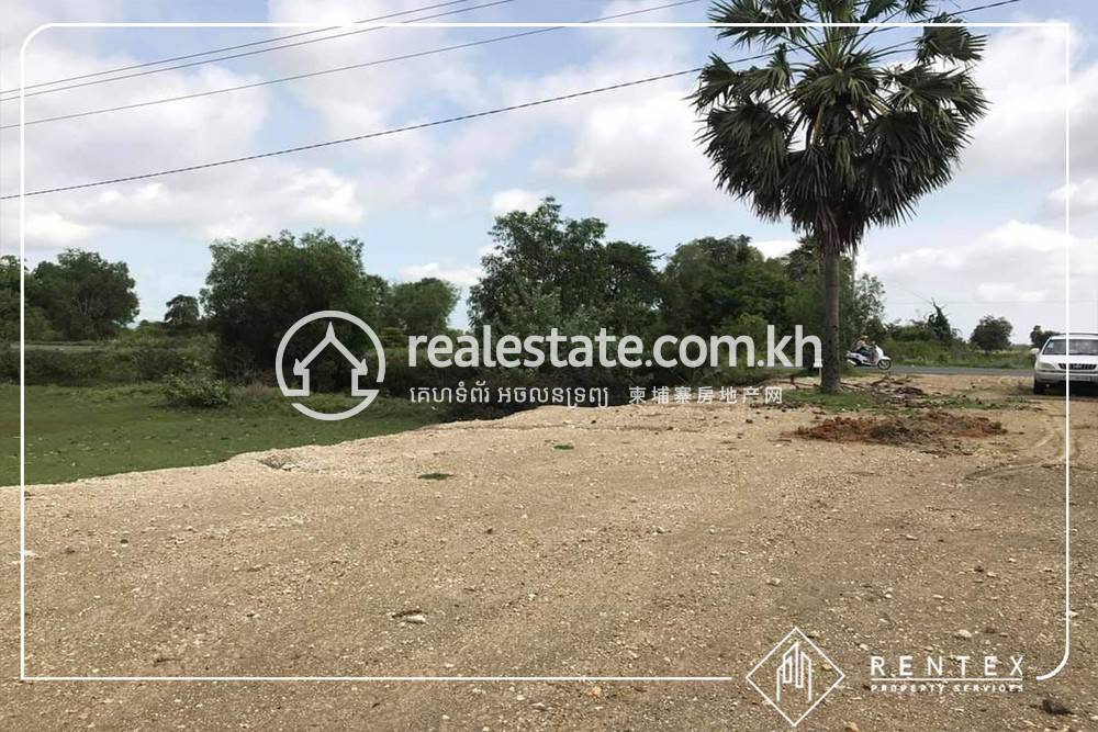Veal Pong Lot For Sale in Veal Pong