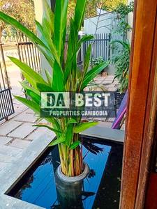 Properties Dabest, Sala Kamraeuk, Siem Reap, Siem Reap
