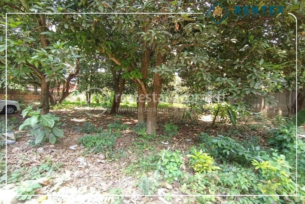 Lot Для Аренды in Chbar Ampov $1,000