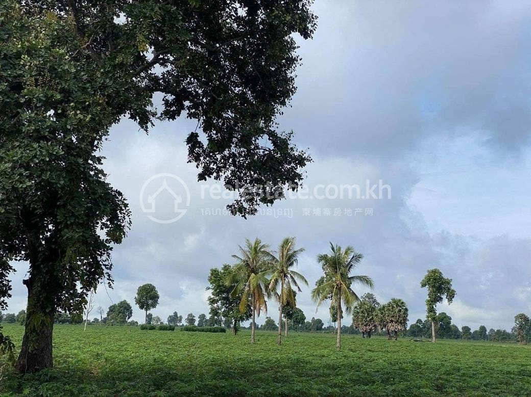Lot For Sale in Thma Puok $644,136