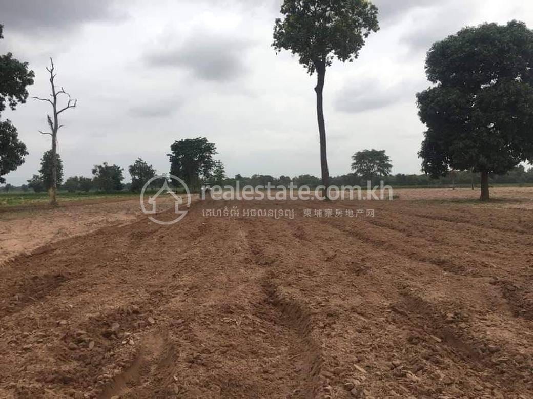 Thma Puok Lot For Sale in Thma Puok