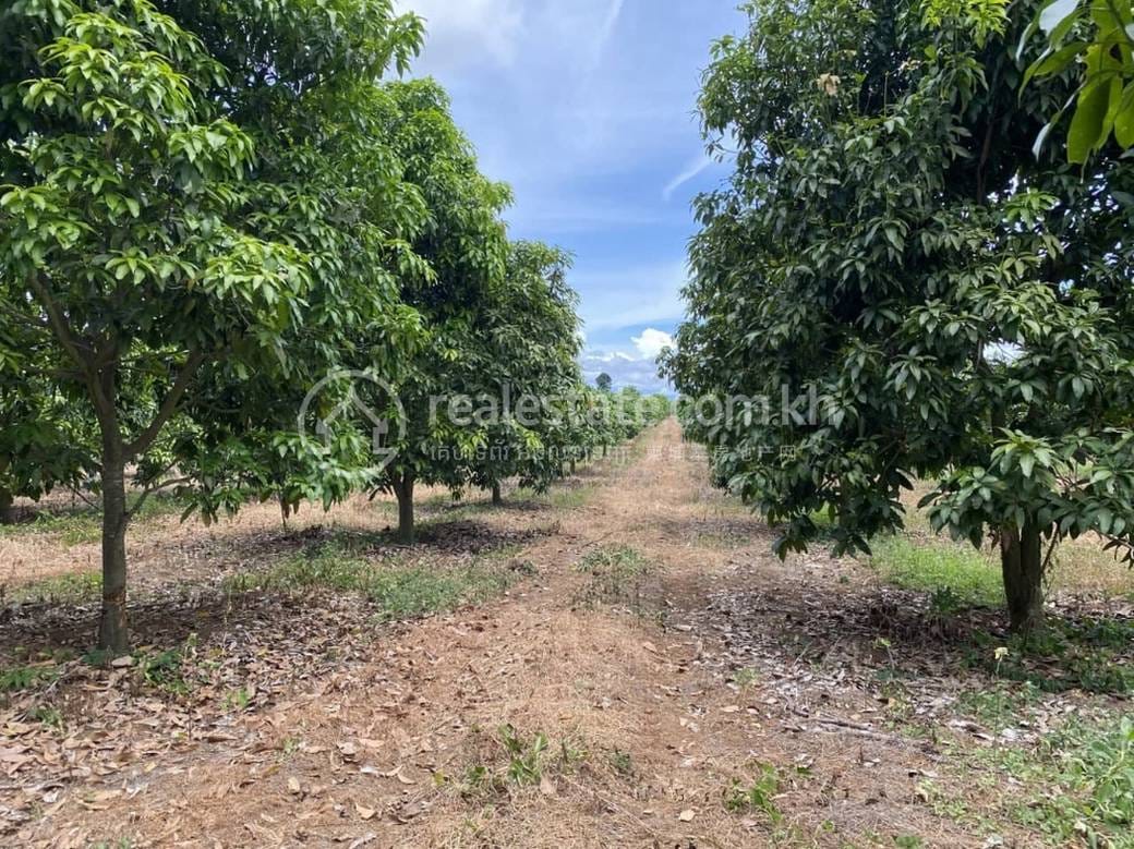 10,000 sqm Land Size Lot Na prodej for $17,000