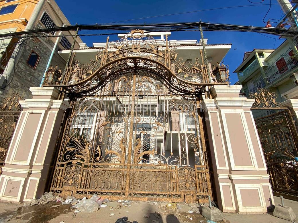 residential Villa for sale in Ta Khmao ID 197596