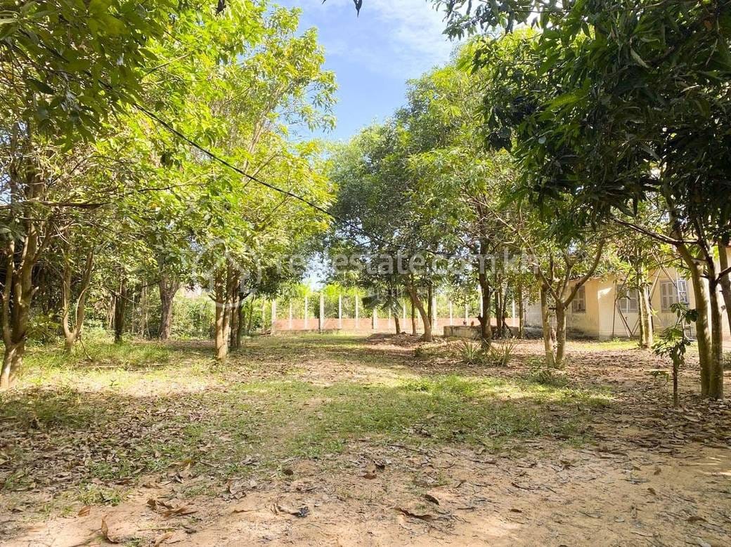 Siem Reap土地出售，位于Siem ReapSiem Reap，价格$250
