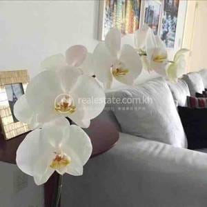 Apartment For Rent in Chamkarmon $450