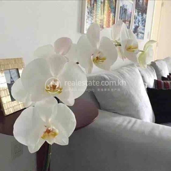 Apartment For Rent in Chamkarmon $450