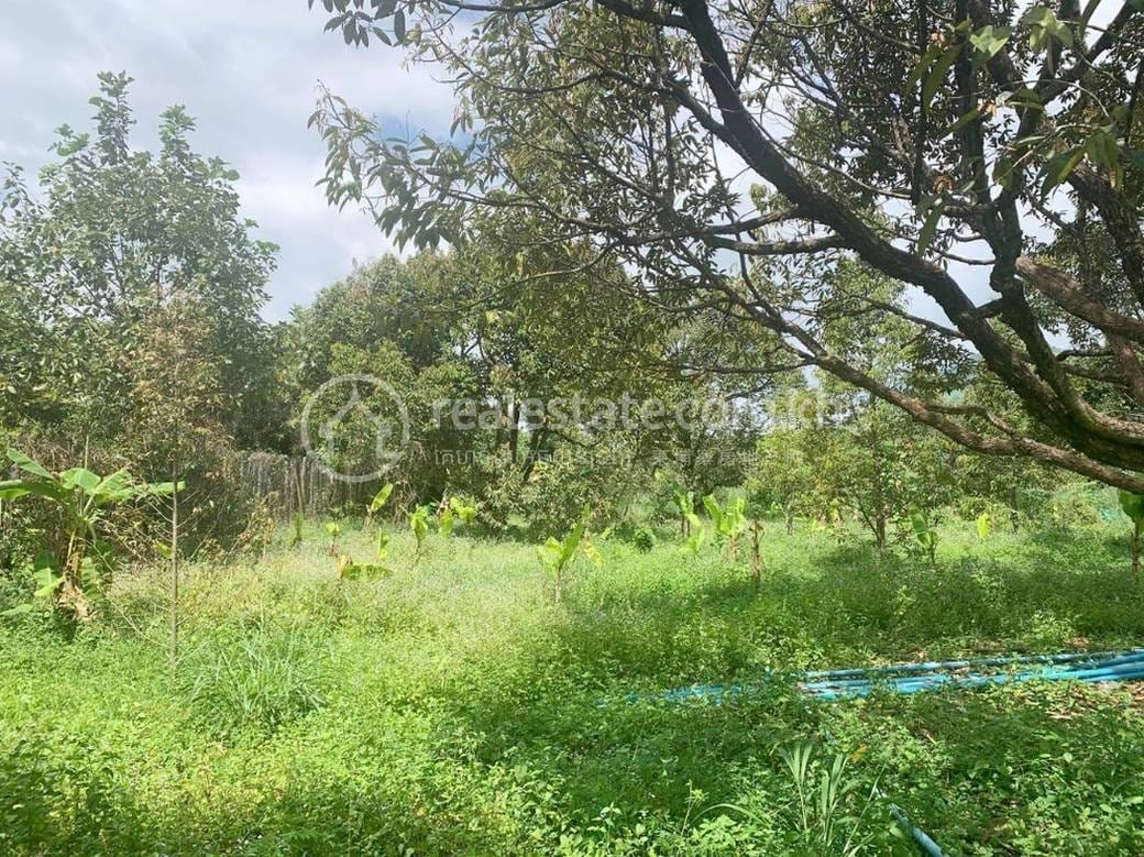 Tuek Chhouの土地売り物件 $280,000