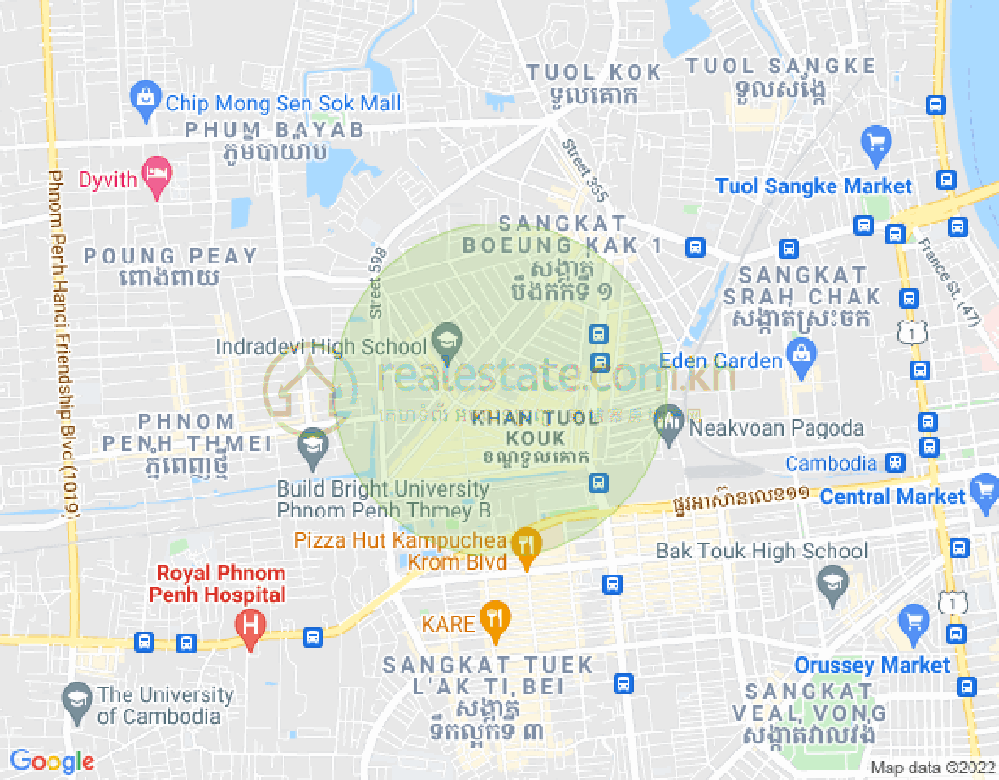 313, 宣城2, 堆谷区, 金边地图