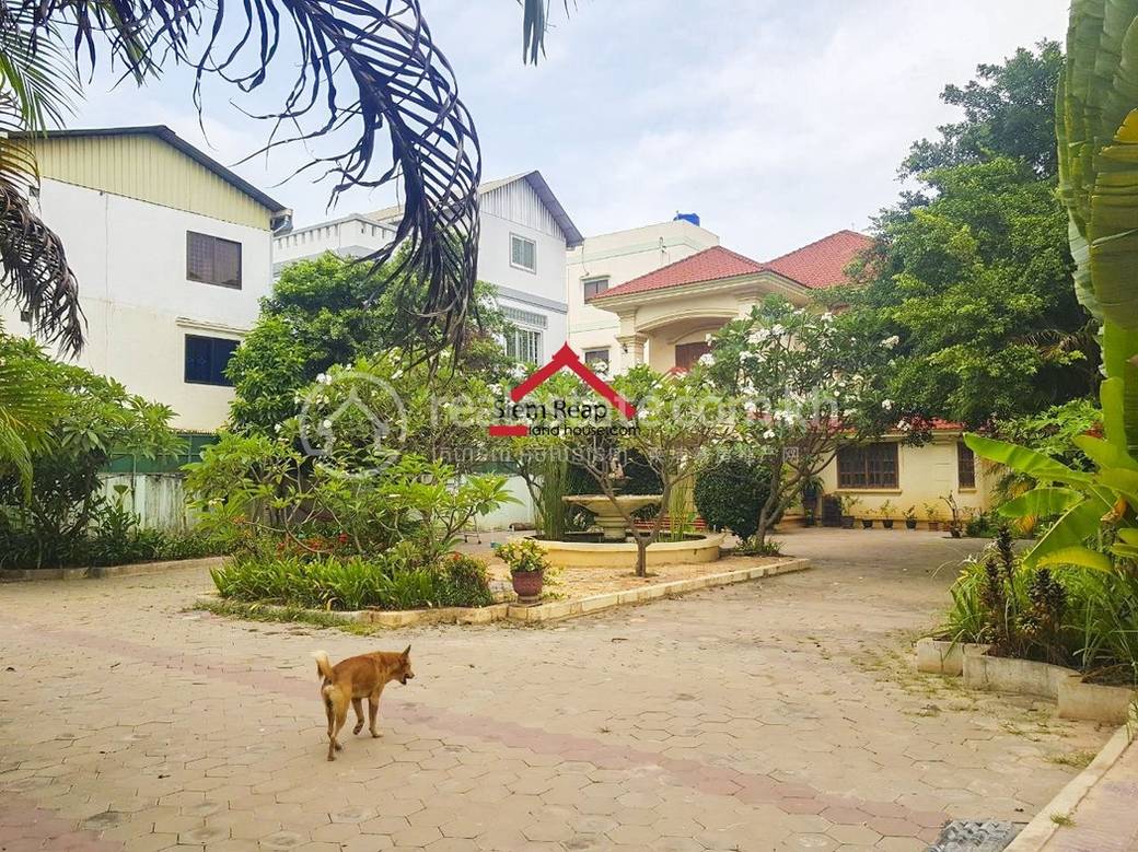 Siem Reap Vila K pronájmu in Siem Reap