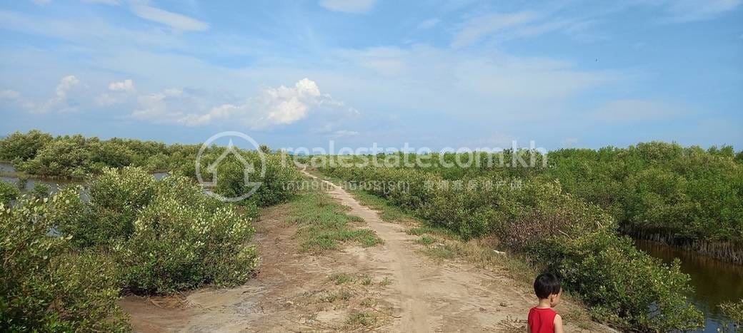 ដី សំរាប់លក់ នៅKampot តម្លៃ $50