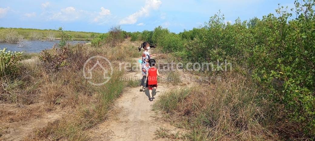 Traeuy Kaoh ដី សំរាប់លក់ នៅ Traeuy Kaoh