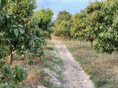 31 31, Pong Tuek, Damnak Chang'aeur, Kep