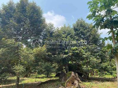 residential Land/Development for sale in Ruessei Chrum ID 212448